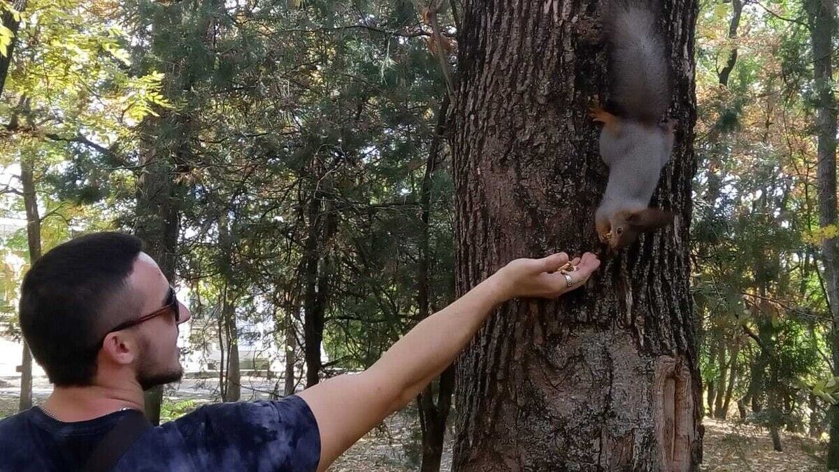 ���������� ������, ���� ������� ����, 30 ���, ������������ ��� ����� � ���������, c�������� ���������