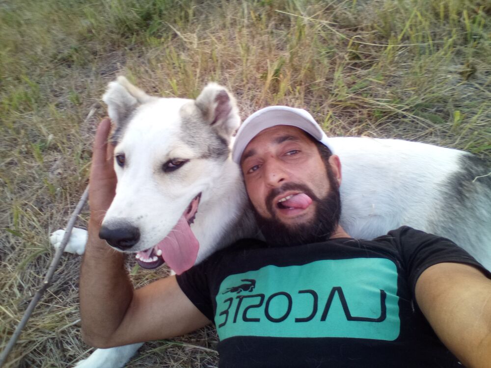 ���������� ������-��-����, ���� ������� ������, 37 ���, ������������ ��� ������, ����� � ���������