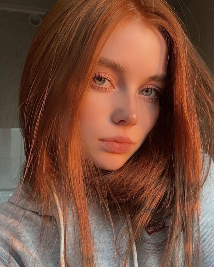 ���� 38329519 ������� ����, 24 ����, ���� ���������� � �����-����������