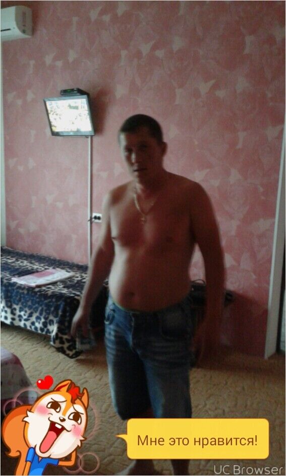  ,   Van, 44 ,   