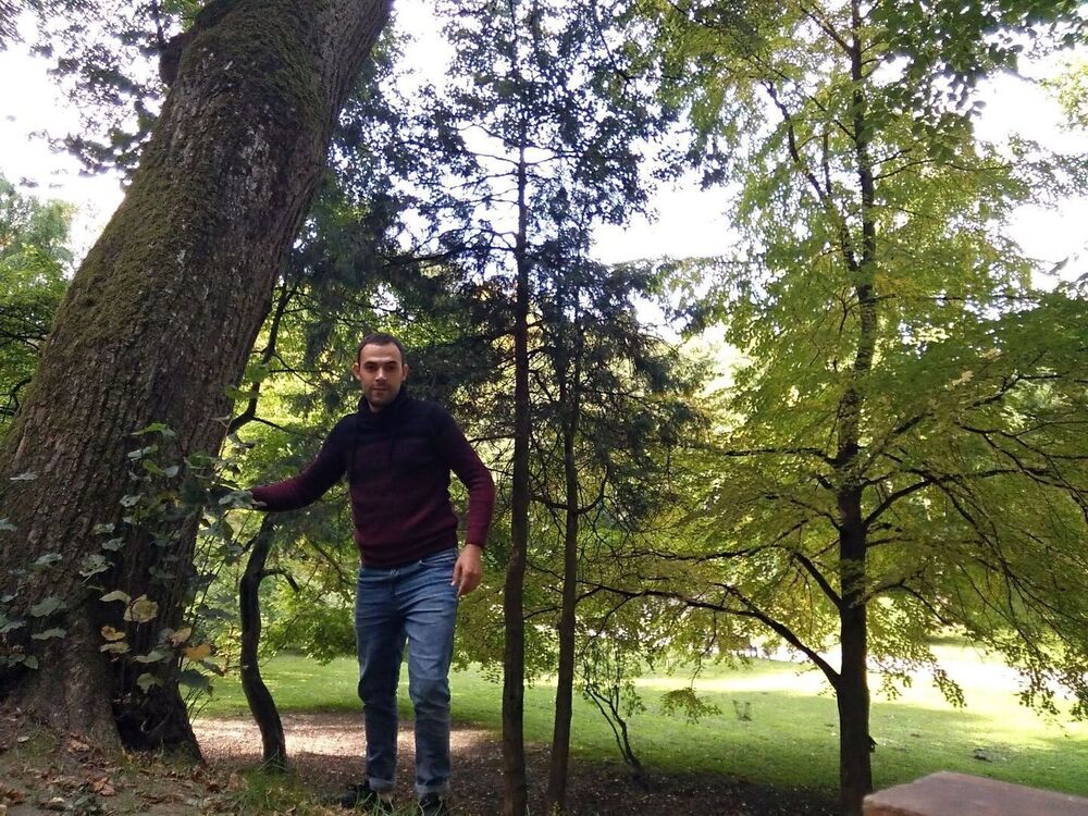 ���������� ����, ���� ������� �����, 36 ���, ������������ ��� ������, ����� � ���������