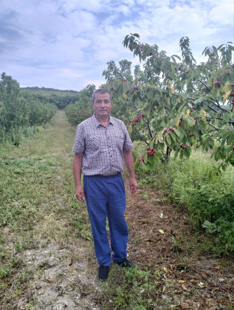 ���� 48867629 ������� ����, 63 ����, ���� ���������� � �����