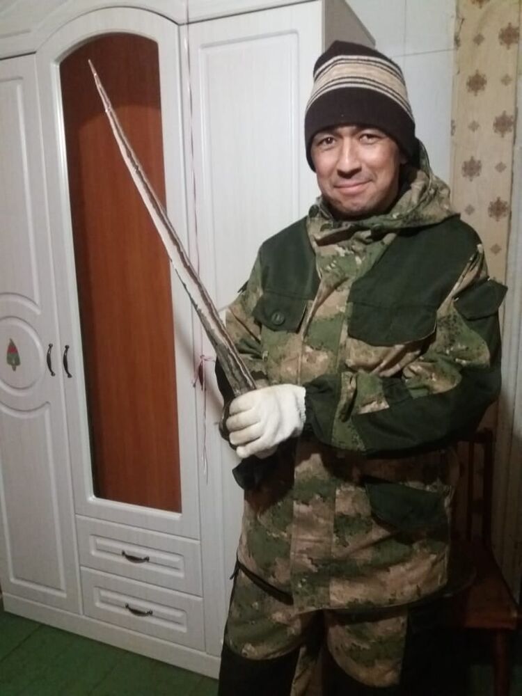  ,   , 46 ,   