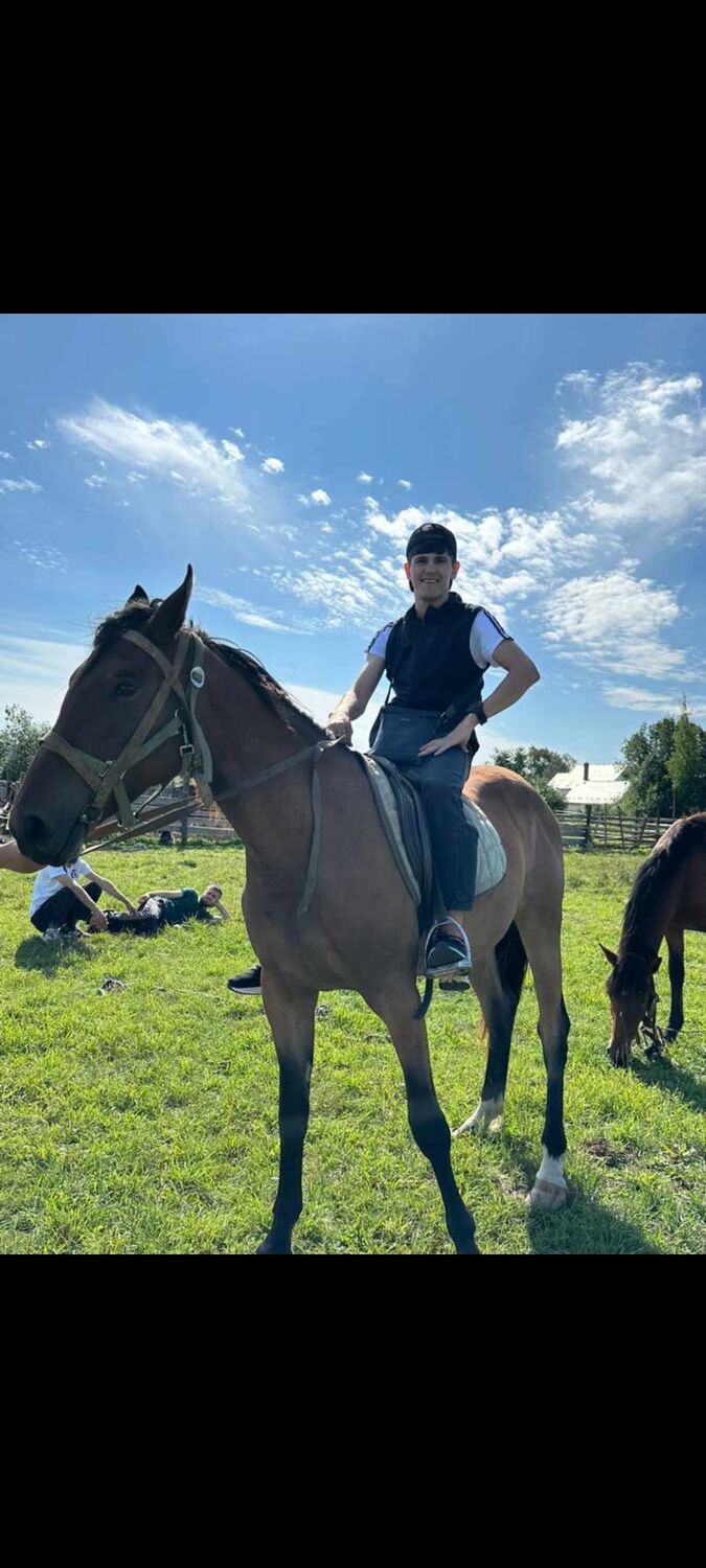 ���� 39113019 ����� ��������, 22 ����, ���� ���������� � �����-����������