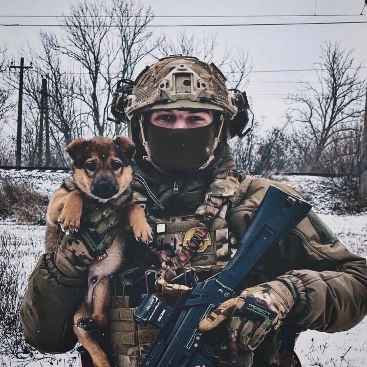 ���� 43384979 ������� �����, 30 ���, ���� ���������� � ���������