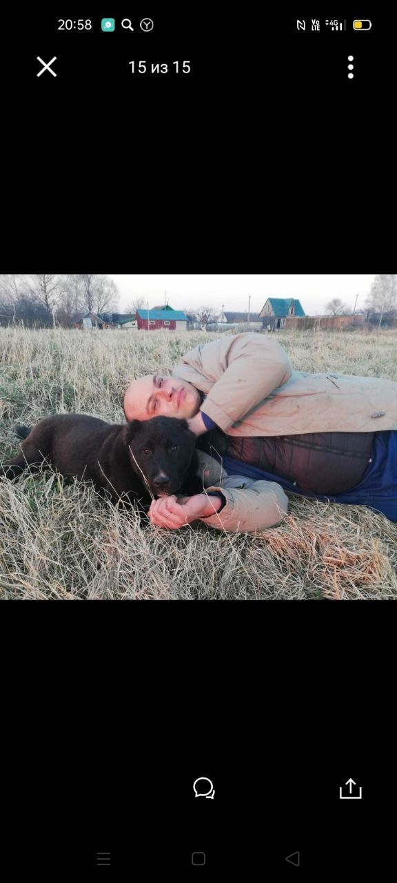 ���������� ������, ���� ������� �������, 41 ���, ������������ ��� ������, ����� � ���������, c�������� ���������, ���������