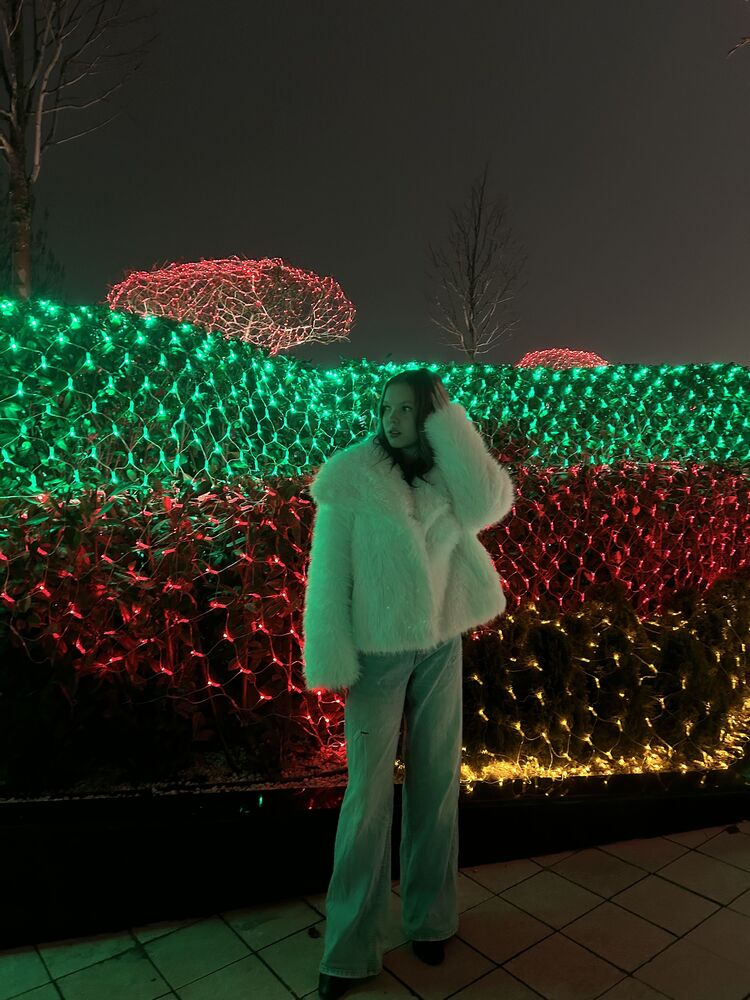 ���������� ���������, ���� ������� ���������, 18 ���, ������������ ��� ������, ����� � ���������