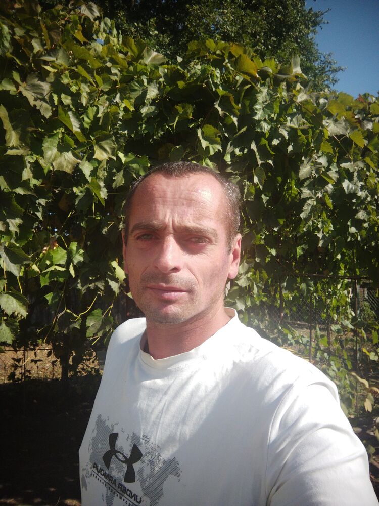  47652869  , 43 ,    