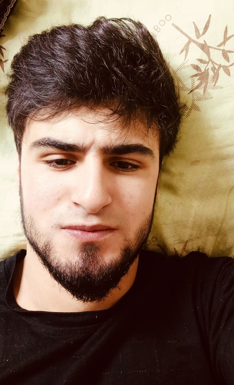  48176629  , 24 ,    