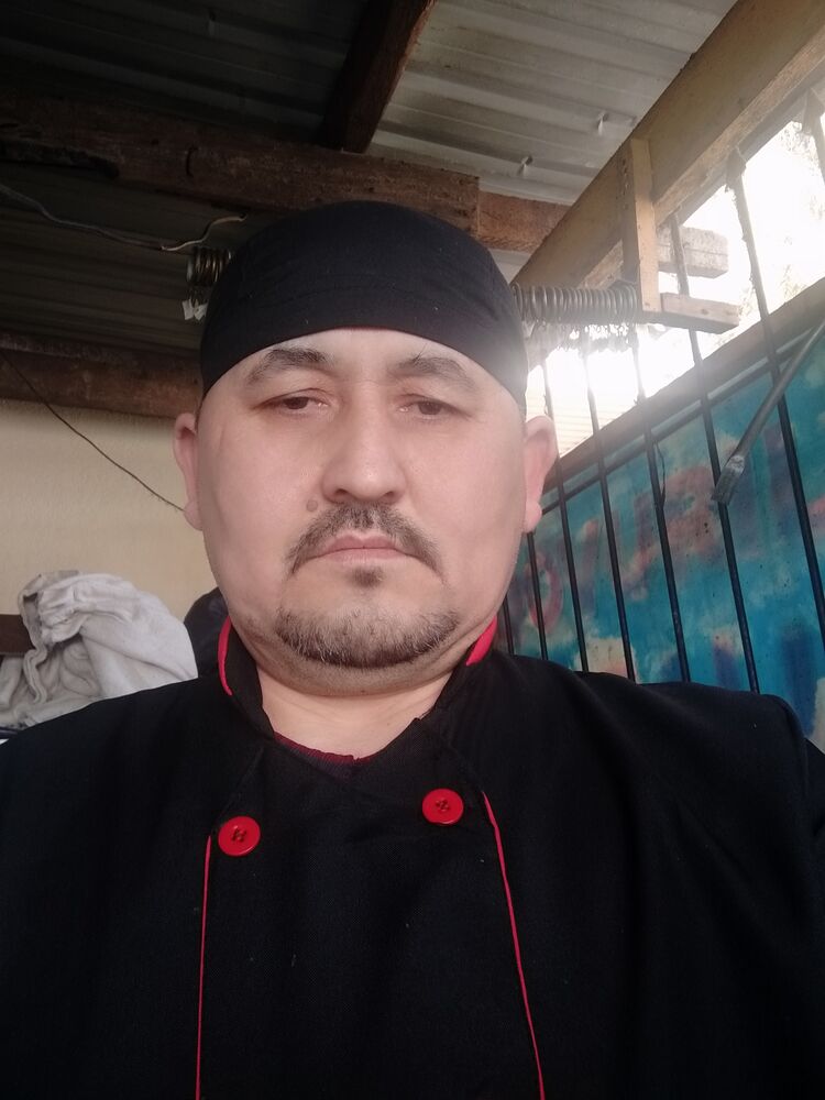 ���� 24909849 ������� �����, 48 ���, ���� ���������� � ��������