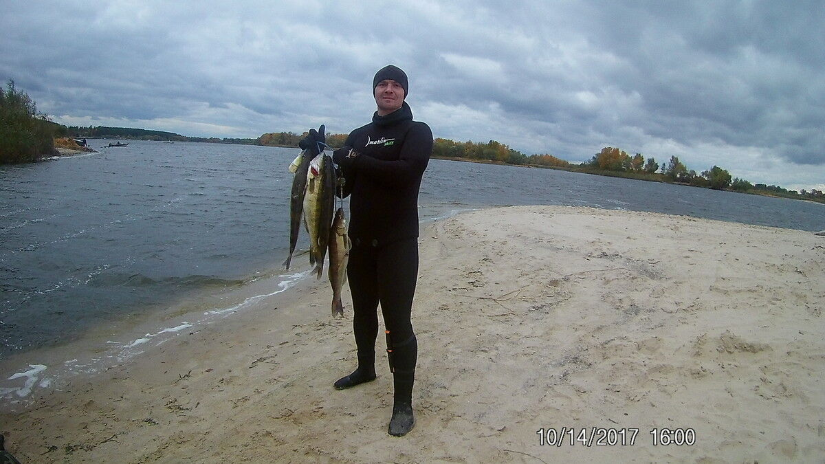 ���� 11186669 ������� ������, 42 ����, ���� ���������� � �������