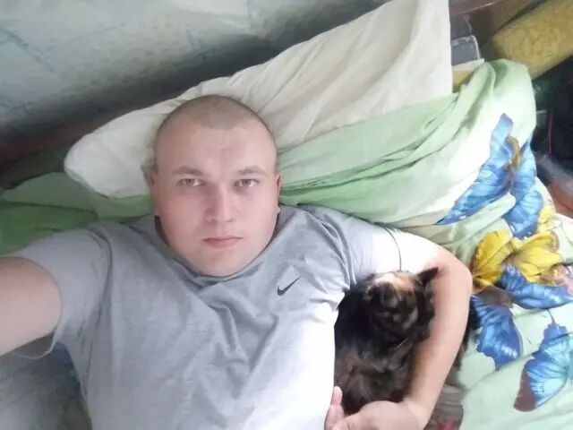 ���� 42656129 ������� �����, 33 ����, ���� ���������� � ������