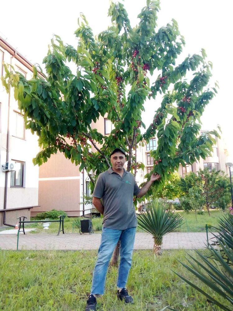 ,    , 42 ,   ,   , c 