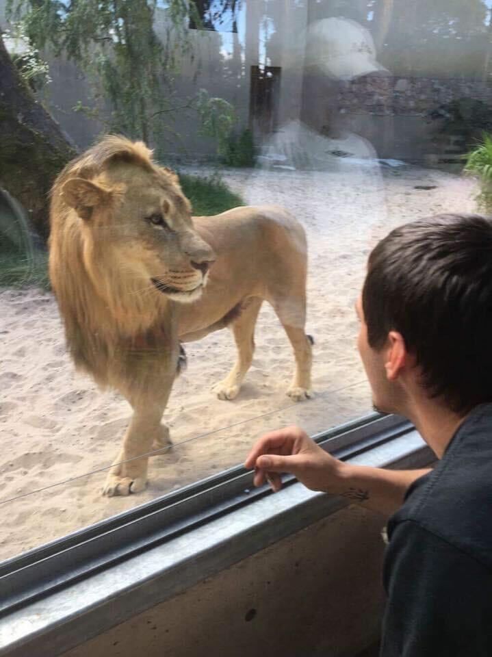 ���������� ����, ���� ������� Solovik, 34 ����, ������������ ��� ������, ����� � ���������, c�������� ���������, ���������