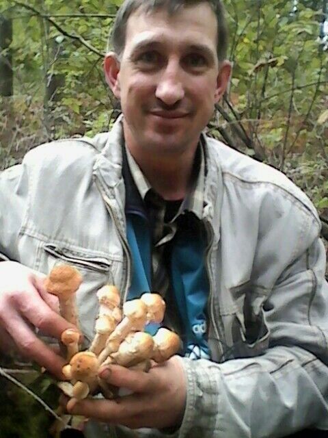 ���������� �������, ���� ������� ������, 47 ���, ������������ ��� ������, ����� � ���������, c�������� ���������