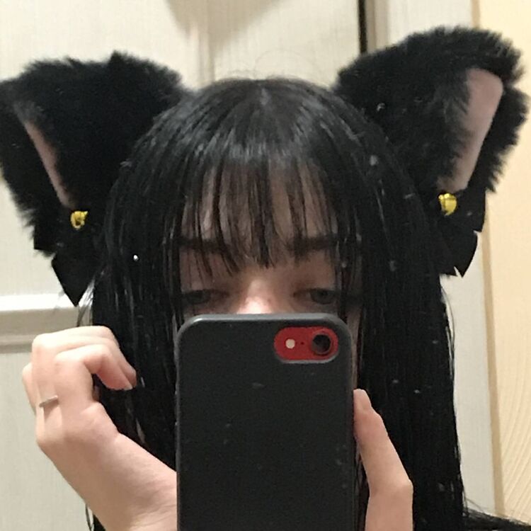 ���� 33041799 ������� ���������, 24 ����, ���� ���������� � ������