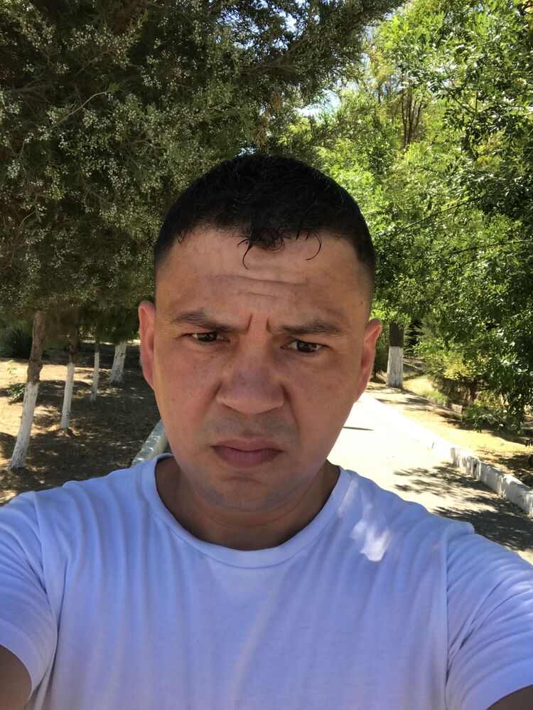  36511809  , 38 ,    