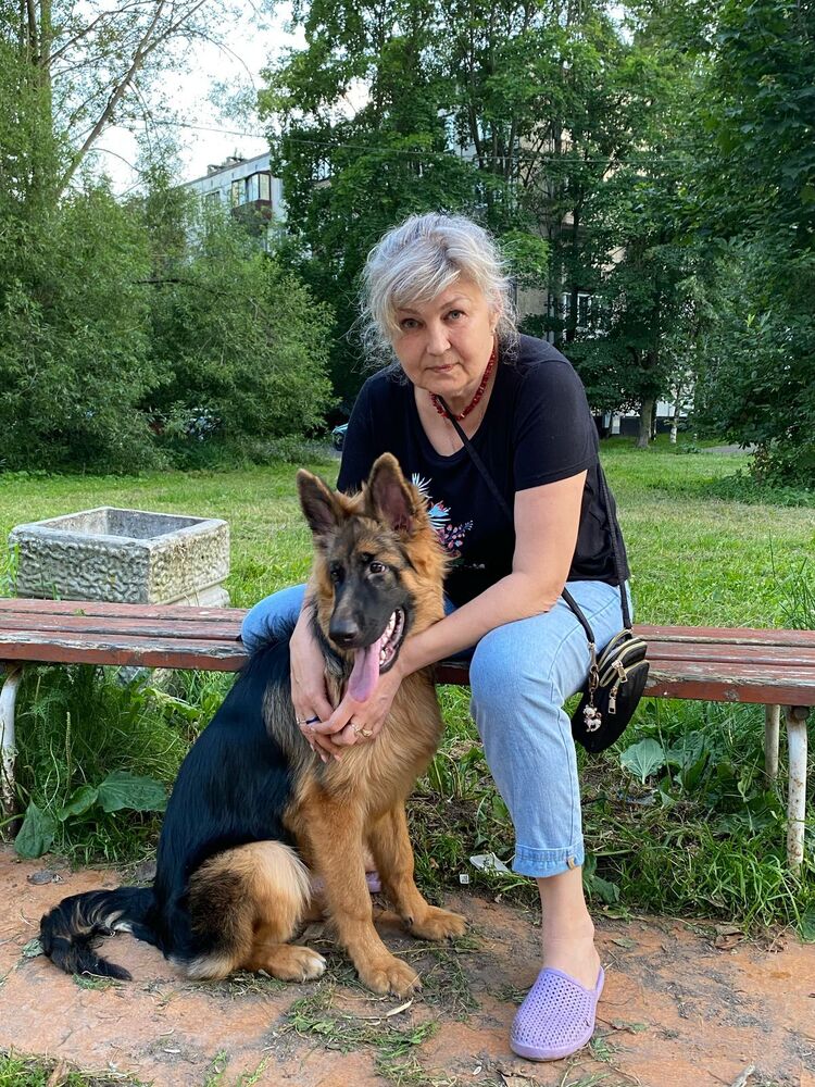  53541809  , 58 ,    -