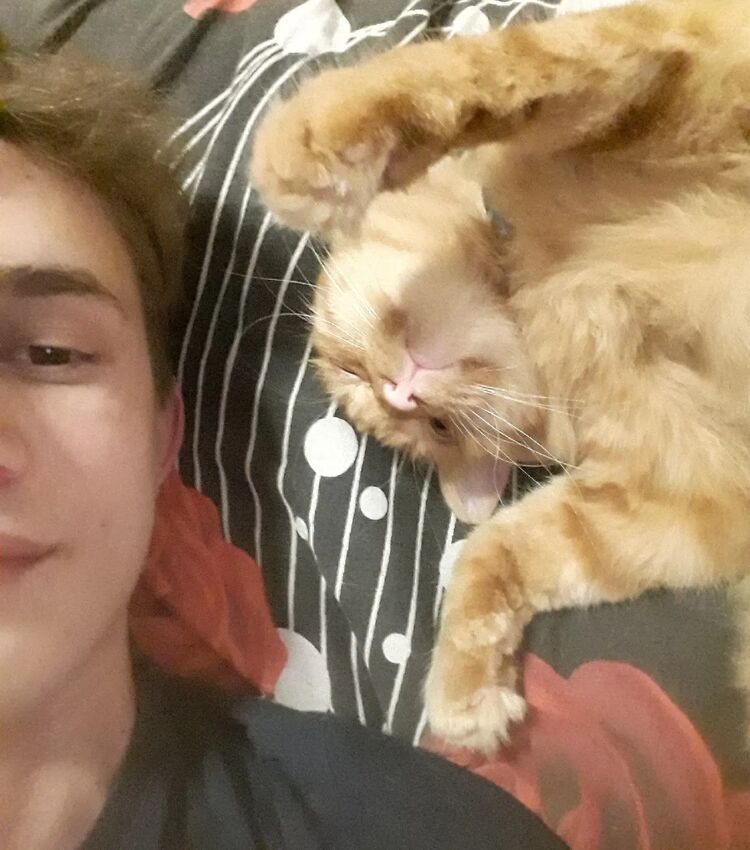 ���� 27107309 ����� ������, 24 ����, ���� ���������� � �����