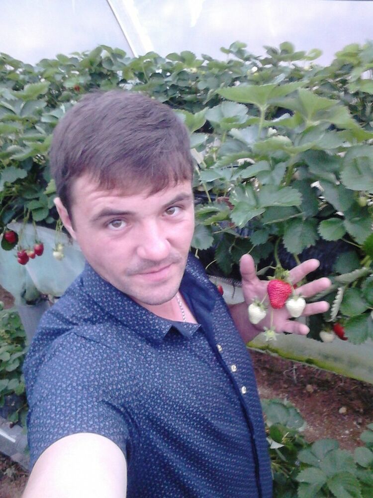 ���������� �����������, ���� ������� �������, 42 ����, ������������ ��� ������, ����� � ���������, c�������� ���������