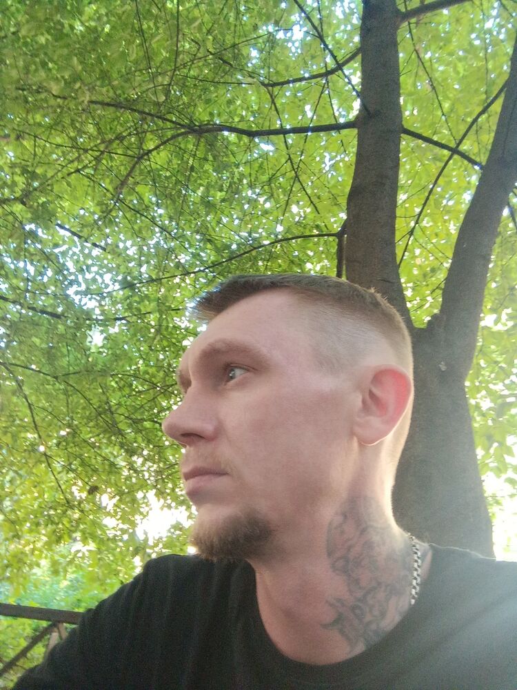  36679849  , 39 ,    