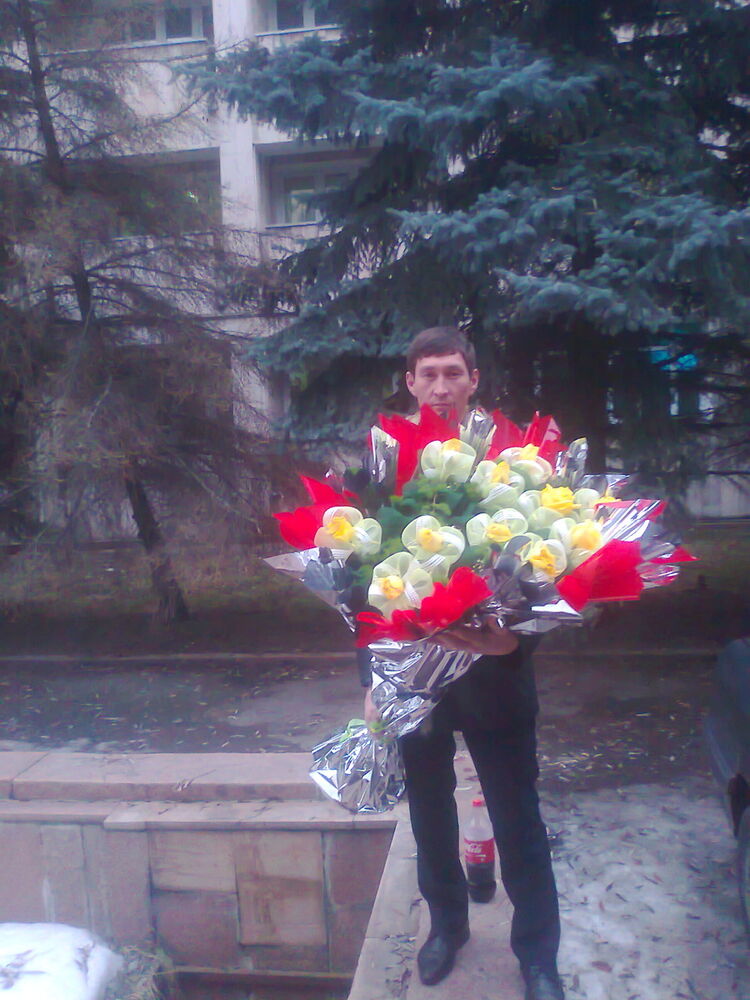 ���������� ������, ���� ������� �����, 37 ���, ������������ ��� ������