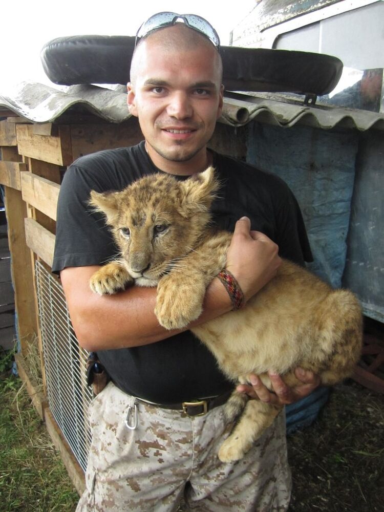 ���� 7841999 ������� �����, 42 ����, ���� ���������� � ������