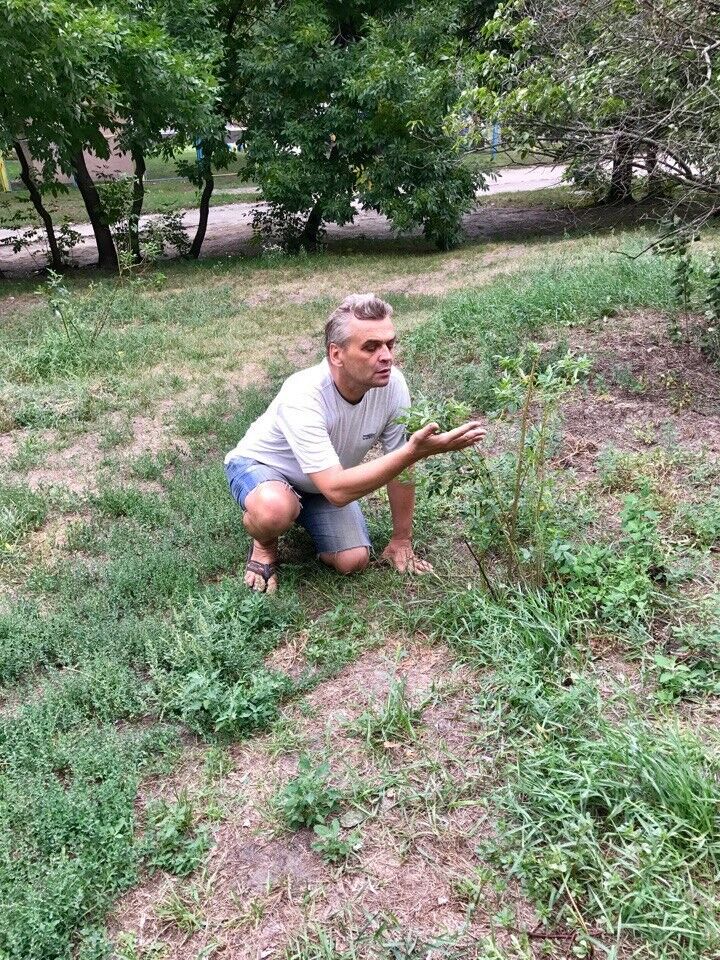 ���������� ����, ���� ������� ��������, 64 ����, ������������ ��� ������, ����� � ���������, c�������� ���������