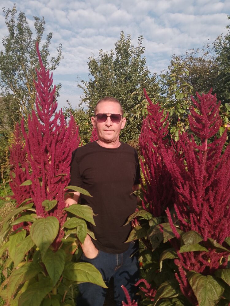  ,   , 46 ,   c , 