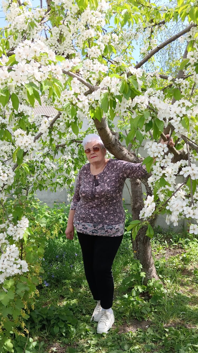  ,   , 68 ,   ,   