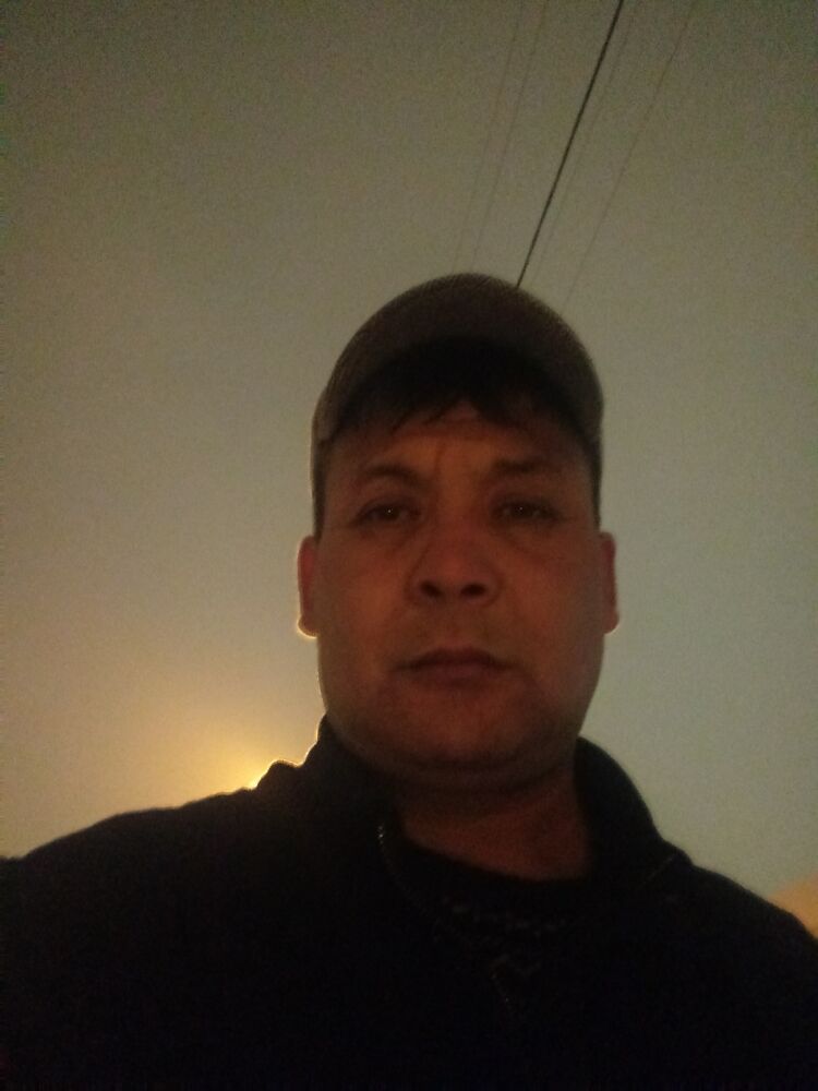 ���� 24426479 ������� �������, 50 ���, ���� ���������� � ������