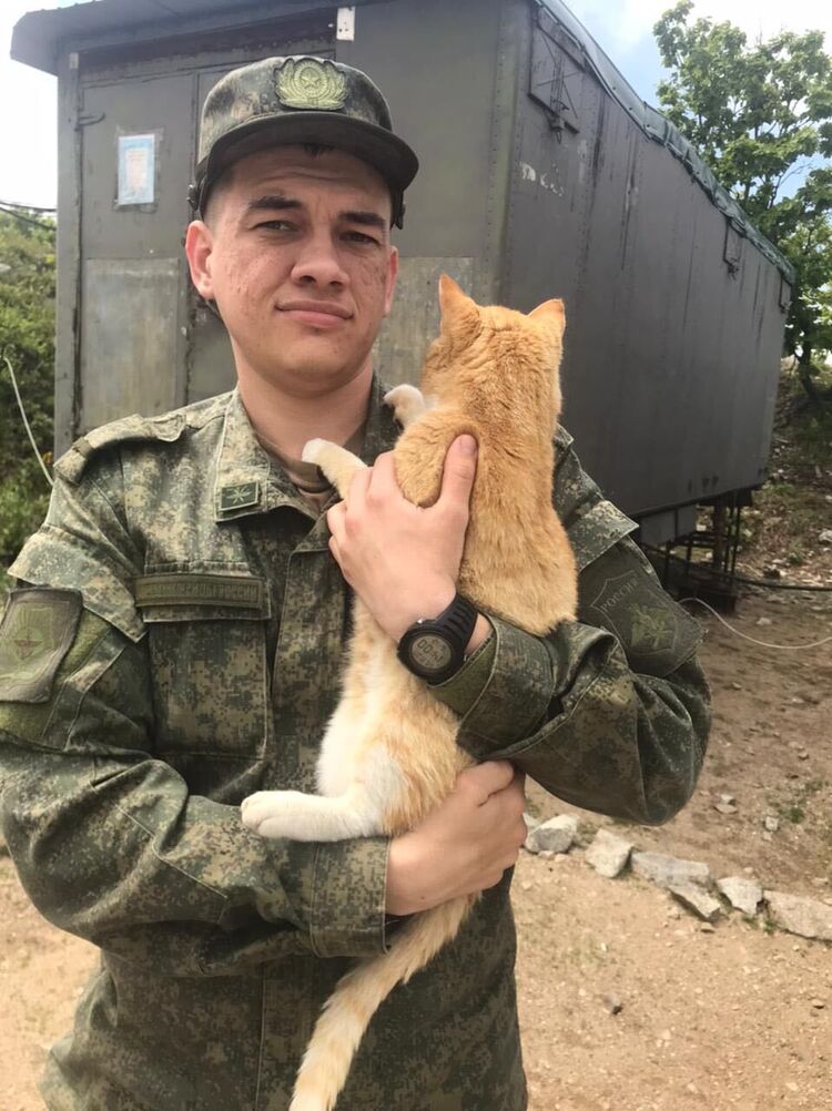 ���������� ���������, ���� ������� �������, 27 ���, ������������ ��� ������, ����� � ���������