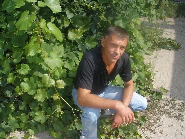 ���� 19900039 ������� ����, 53 ����, ���� ���������� � ��������