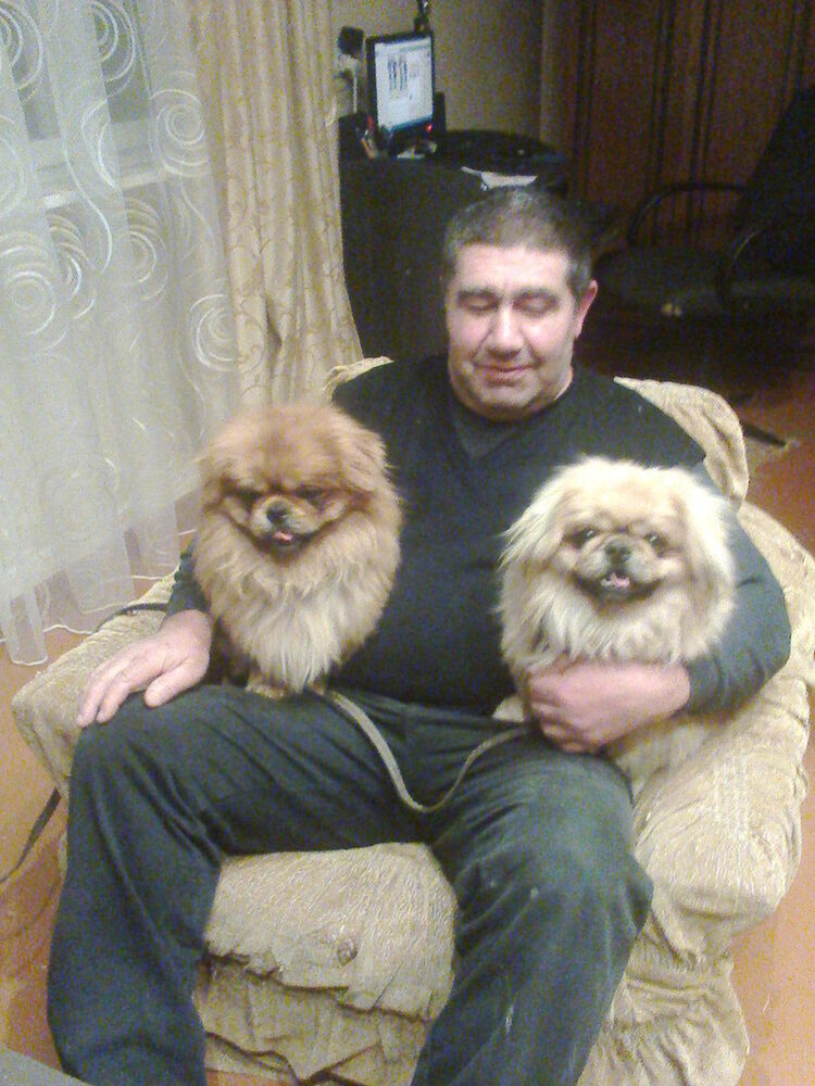  9470789  HRACHYA, 59 ,    