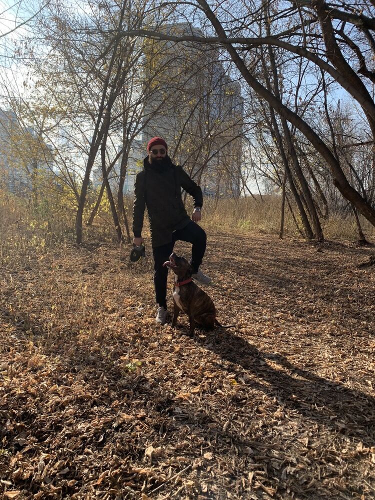 ���� 19259329 ������� Bruno, 37 ���, ���� ���������� � ������