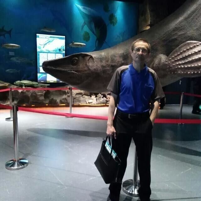 ���������� ���������, ���� ������� �������, 61 ���, ������������ ��� ������, ����� � ���������