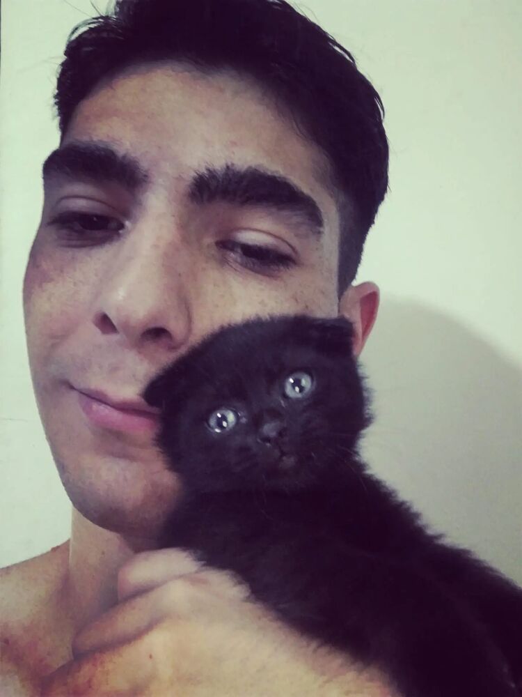  -,   , 23 ,   ,   