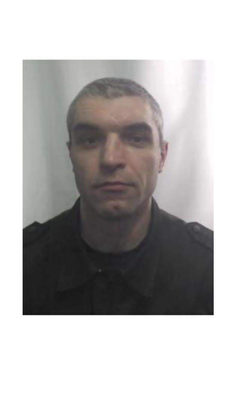 ���� 42419629 ������� ���������, 36 ���, ���� ���������� � ���������