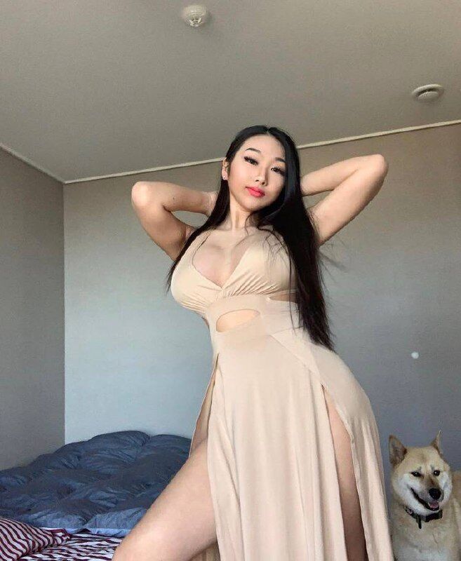  --,   , 29 ,   ,   