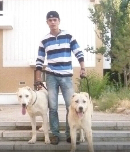 ���������� ���������, ���� ������� �������, 34 ����, ������������ ��� ������, ����� � ���������, c�������� ���������