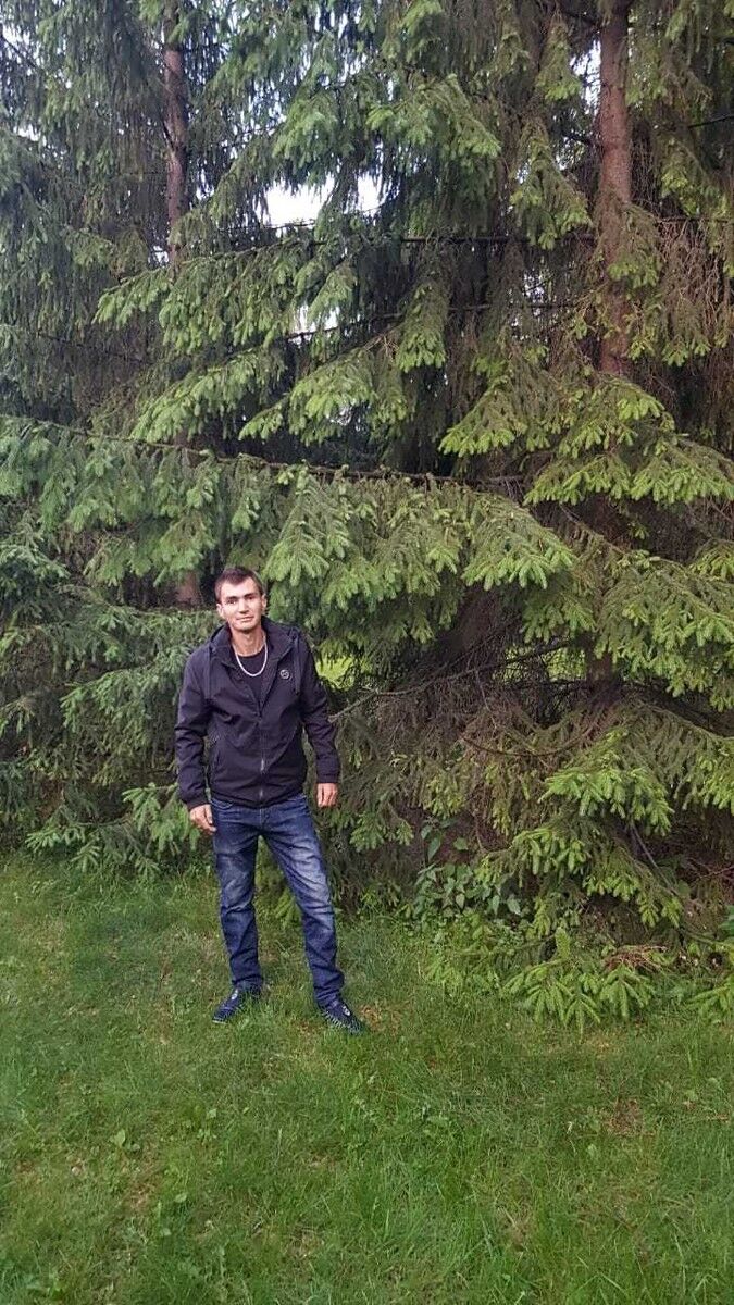  ,   , 31 ,     , c 
