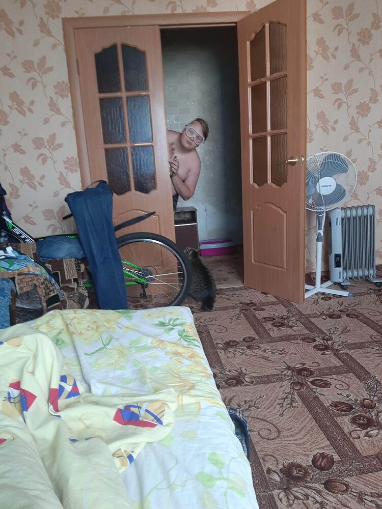 ���� 55707049 ������� ���������, 52 ����, ���� ���������� � ������