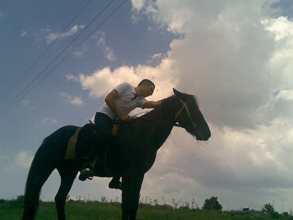  47809309  , 35 ,    