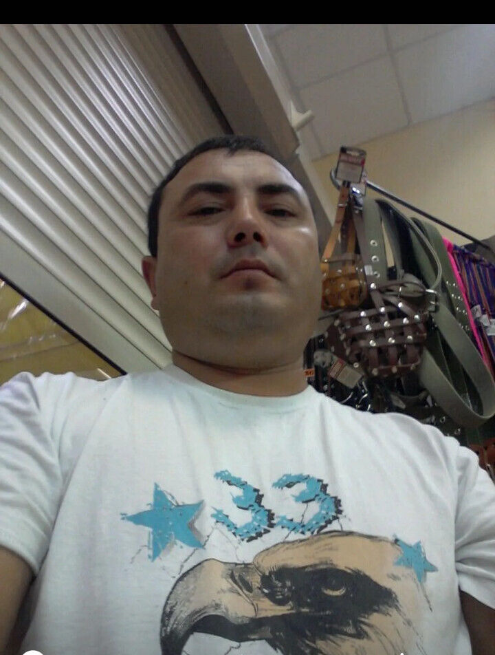  42401599  , 46 ,    
