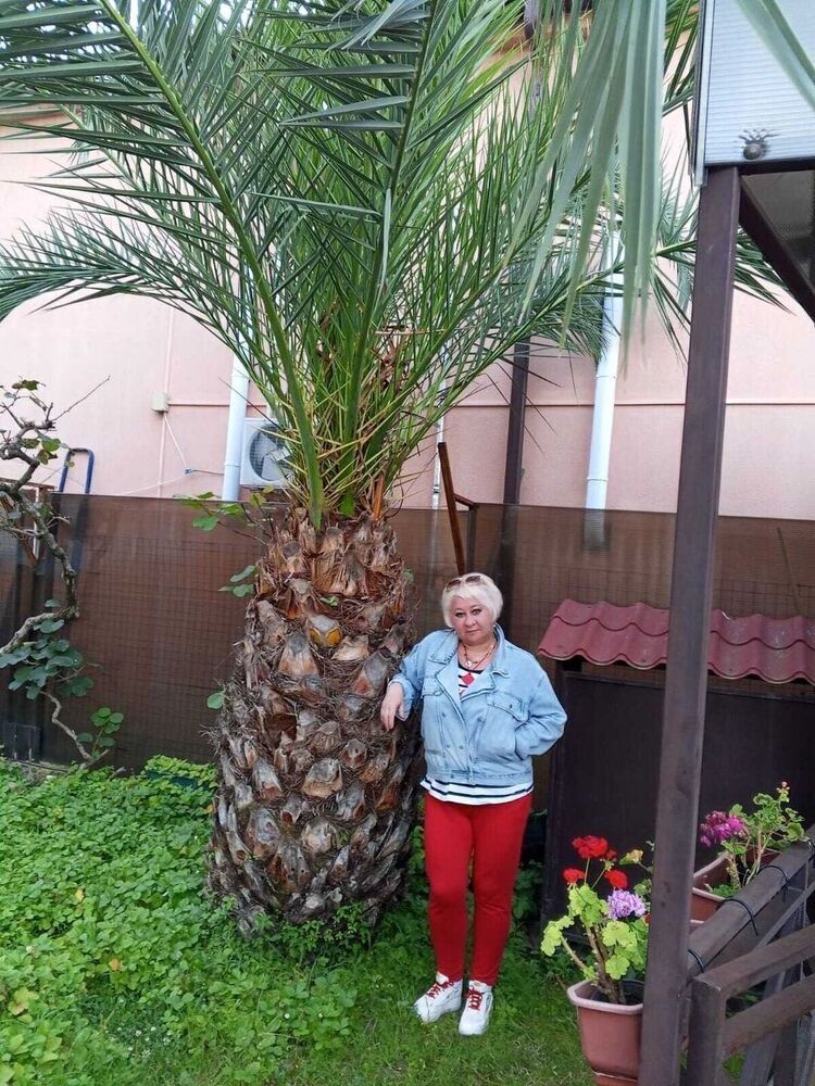 ���� 55759109 ������� �������, 53 ����, ���� ���������� � ����������