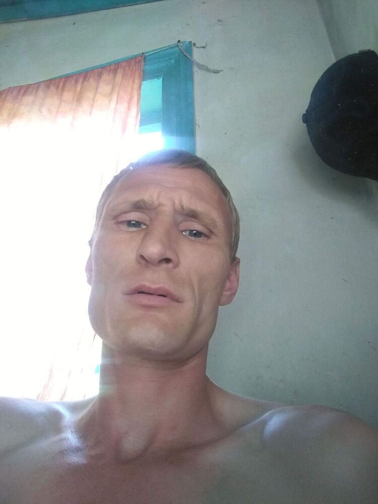  53806049  , 38 ,    