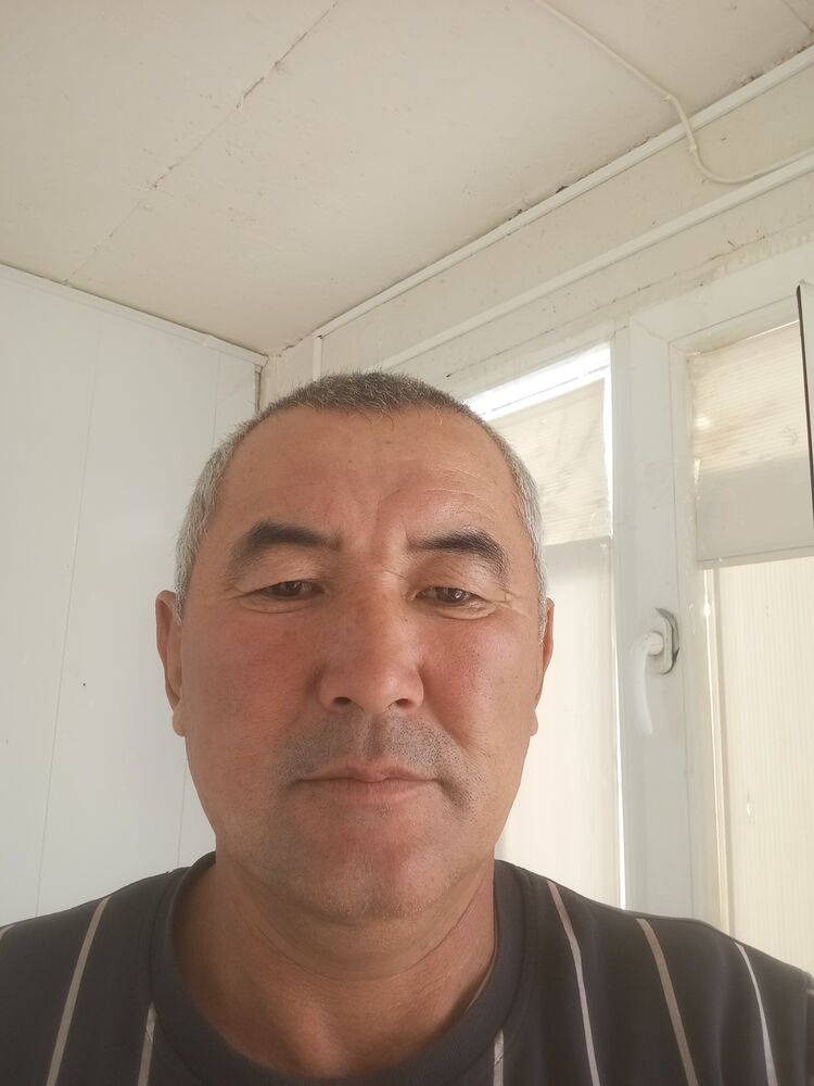  45921229  Alta, 46 ,    