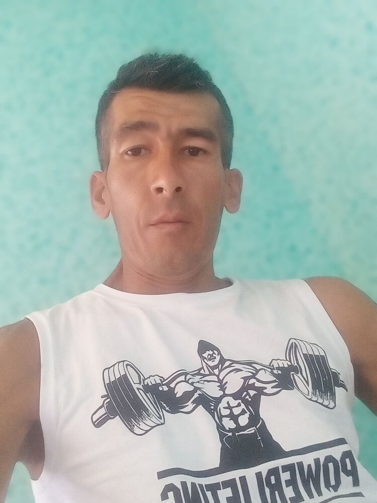  36977319  , 38 ,    