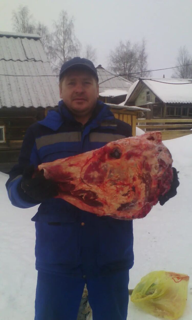 ���������� �����-���������, ���� ������� Pavel, 51 ���, ������������ ��� ������, ����� � ���������