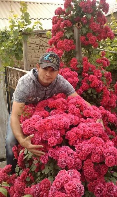 ���� 5416739 ������� Said, 32 ����, ���� ���������� � ��������